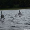 Koeln2014_1 (58)